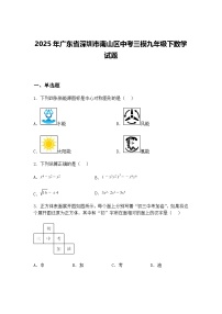 2025年广东省深圳市南山区中考三模九年级下数学试题（含答案解析）