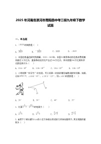 2025年河南省漯河市舞阳县中考三模九年级下数学试题（含答案解析）