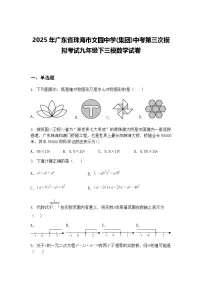 2025年广东省珠海市文园中学(集团)中考第三次模拟考试九年级下三模数学试卷（含答案解析）