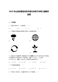 2025年山东省泰安市东平县九年级下中考三模数学试题（含答案解析）