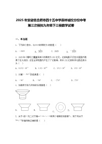 2025年安徽省合肥市四十五中学森林城校分校中考第三次模拟九年级下三模数学试卷（含答案解析）