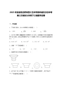 2025年安徽省合肥市四十五中学森林城校分校中考第三次模拟九年级下三模数学试卷（含答案解析）