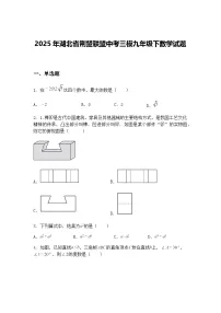 2025年湖北省荆楚联盟中考三模九年级下数学试题（含答案解析）
