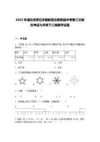 2025年湖北省黄石市阳新县北部联盟中考第三次模拟考试九年级下三模数学试题（含答案解析）