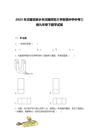 2025年河南省新乡市河南师范大学附属中学中考三模九年级下数学试题（含答案解析）