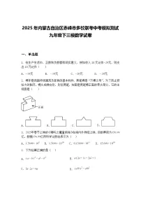 2025年内蒙古自治区赤峰市多校联考中考模拟测试九年级下三模数学试卷（含答案解析）