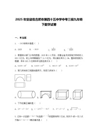 2025年安徽省合肥市第四十五中学中考三模九年级下数学试卷（含答案解析）