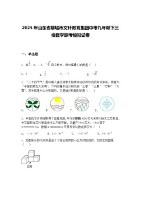 2025年山东省聊城市文轩教育集团中考九年级下三模数学联考模拟试卷（含答案解析）