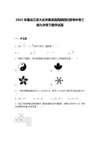 2025年黑龙江省大庆市肇源县西部四校联考中考三模九年级下数学试题（含答案解析）