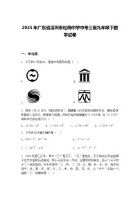 2025年广东省深圳市松岗中学中考三模九年级下数学试卷（含答案解析）