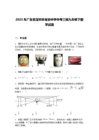 2025年广东省深圳市宝安中学中考三模九年级下数学试题（含答案解析）