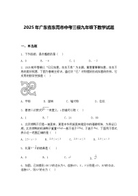 2025年广东省东莞市中考三模九年级下数学试题（含答案解析）
