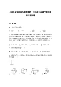 2025年安徽省合肥市第四十二中学九年级下数学中考三模试卷（含答案解析）