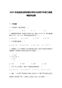 2025年安徽省合肥市部分学校九年级下中考三模联考数学试卷（含答案解析）