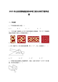2025年山东省聊城临清市中考三模九年级下数学试题（含答案解析）
