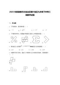2025年新疆维吾尔自治区喀什地区九年级下中考三模数学试题（含答案解析）