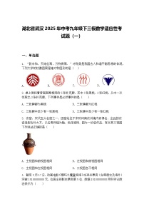 湖北省武汉2025年中考九年级下三模数学适应性考试题（一）（含答案解析）