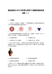 湖北省武汉2025年中考九年级下三模数学适应性考试题（一）（含答案解析）
