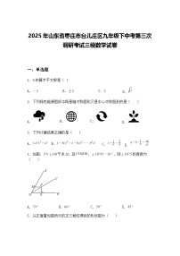 2025年山东省枣庄市台儿庄区九年级下中考第三次调研考试三模数学试卷（含答案解析）