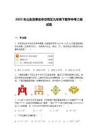 2025年山东省泰安市岱岳区九年级下数学中考三模试题（含答案解析）