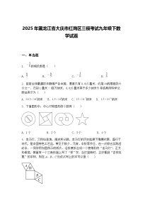 2025年黑龙江省大庆市红岗区三模考试九年级下数学试题（含答案解析）