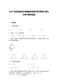 2025年安徽省安庆市桐城市市部分学校联考三模九年级下数学试题（含答案解析）