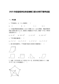 2025年安徽省淮北市定准卷三模九年级下数学试题（含答案解析）