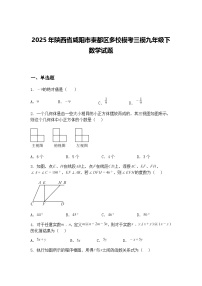 2025年陕西省咸阳市秦都区多校模考三模九年级下数学试题（含答案解析）