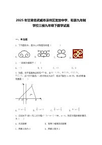 2025年甘肃省武威市凉州区发放中学、和寨九年制学校三模九年级下数学试题（含答案解析）