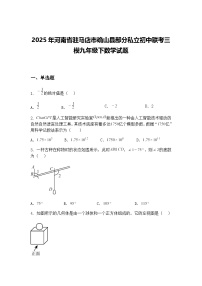 2025年河南省驻马店市确山县部分私立初中联考三模九年级下数学试题（含答案解析）