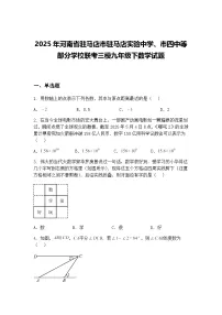 2025年河南省驻马店市驻马店实验中学、市四中等部分学校联考三模九年级下数学试题（含答案解析）