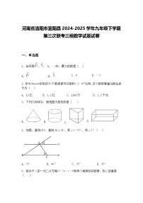 河南省洛阳市宜阳县2024-2025学年九年级下学期第三次联考三模数学试题试卷（含答案解析）