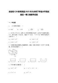 安徽省C20教育联盟2025年九年级下学业水平测试最后一卷三模数学试题（含答案解析）