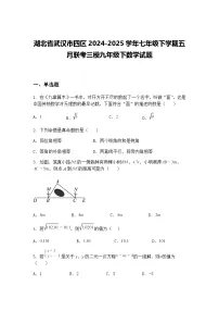 湖北省武汉市四区2024-2025学年七年级下学期五月联考三模九年级下数学试题（含答案解析）
