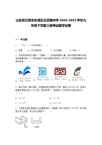 山东省日照市东港区北京路中学2024-2025学年九年级下学期三模考试数学试卷（含答案解析）