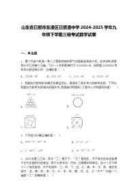 山东省日照市东港区日照港中学2024-2025学年九年级下学期三模考试数学试卷（含答案解析）