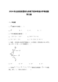 2024年山东省东营市九年级下初中学业水平考试数学三模（含答案解析）