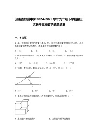 河南省郑州中学2024-2025学年九年级下学期第三次联考三模数学试题试卷（含答案解析）