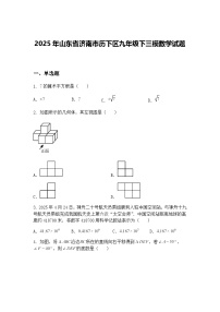 2025年山东省济南市历下区九年级下三模数学试题（含答案解析）