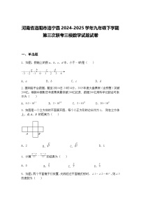 河南省洛阳市洛宁县2024-2025学年九年级下学期第三次联考三模数学试题试卷（含答案解析）