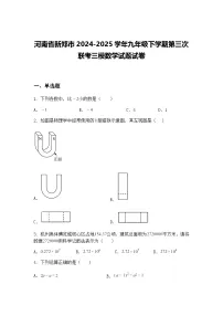 河南省新郑市2024-2025学年九年级下学期第三次联考三模数学试题试卷（含答案解析）