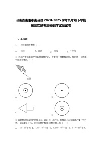 河南省南阳市南召县2024-2025学年九年级下学期第三次联考三模数学试题试卷（含答案解析）