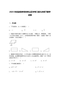 2025年安徽省蚌埠市蚌山区中考三模九年级下数学试题（含答案解析）