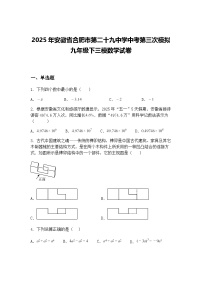 2025年安徽省合肥市第二十九中学中考第三次模拟九年级下三模数学试卷（含答案解析）