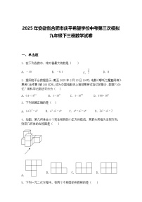2025年安徽省合肥市庆平希望学校中考第三次模拟九年级下三模数学试卷（含答案解析）
