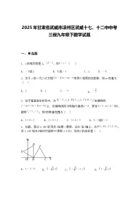 2025年甘肃省武威市凉州区武威十七、十二中中考三模九年级下数学试题（含答案解析）
