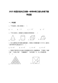 2025年四川省内江市第一中学中考三模九年级下数学试题（含答案解析）