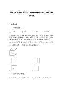 2025年安徽省淮北市五校联考中考三模九年级下数学试题（含答案解析）