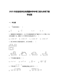 2025年安徽省淮北市西园中学中考三模九年级下数学试题（含答案解析）