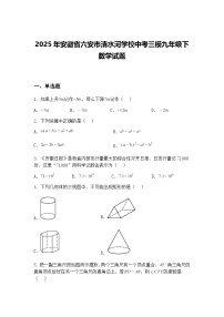 2025年安徽省六安市清水河学校中考三模九年级下数学试题（含答案解析）
